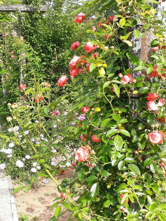 Quinta D'Avo Amelia Bed & Breakfast Alquerubim Exterior photo